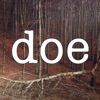 Doe artwork