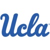 UCLA Bruins artwork