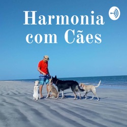 Música relaxante para cães - Piano version