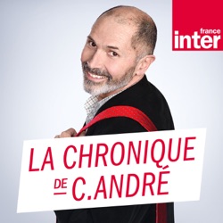 La chronique de Christophe   André