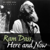 Ram Dass Here And Now artwork