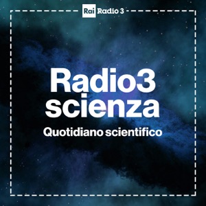 La lisca della spesa