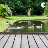 De Bloeiberg Podcasts met Maartje Bergers podcast
