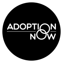 ADOPTION NOW Update: Noah and April Share About Their Family, New Website and What is Next! [S7E11]
