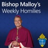 Bishop Malloy's Weekly Homilies artwork