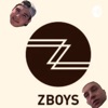 ZBoys artwork