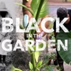 Black in the Garden artwork