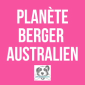 Planète Berger Australien - Patrick Aufroy - Doggycoach