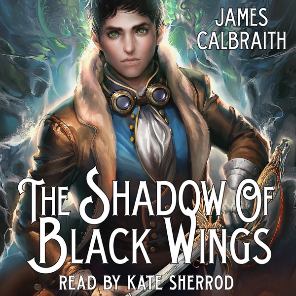 The Shadow of Black Wings