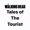 The Tales of The Tourist  artwork