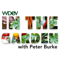 In the Garden podcast