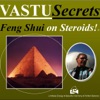 VASTU Secrets artwork