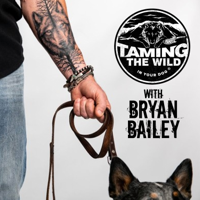 Taming the WILD in Your Dog podcast