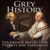 Grey History: The French Revolution & Napoleon artwork