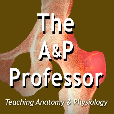 The A&P Professor The A&P Professor