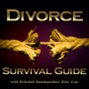 Divorce Survival Guide artwork