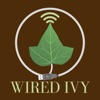 Wired Ivy artwork