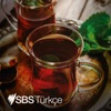 SBS Turkish - SBS Türkçe artwork