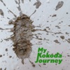 My Kokoda Journey artwork