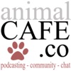 Animal Cafe  artwork
