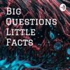 Big Questions Little Facts  artwork