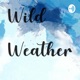 Wild Weather