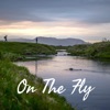On The Fly artwork