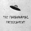 Paranormal Predicament artwork