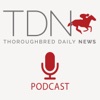 TDN Podcast artwork