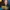 The Dave Ramsey Show