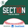 Section 10 Podcast artwork