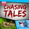 RTHK：Chasing Tales artwork