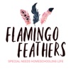 Flamingo Feathers  artwork