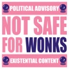 Not Safe For Wonks artwork