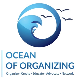 17. Messaging with Anat Shenker-Osario