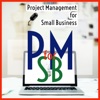 Project Management for Small Business artwork