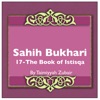 Sahih Bukhari The Book Of Istisqa artwork
