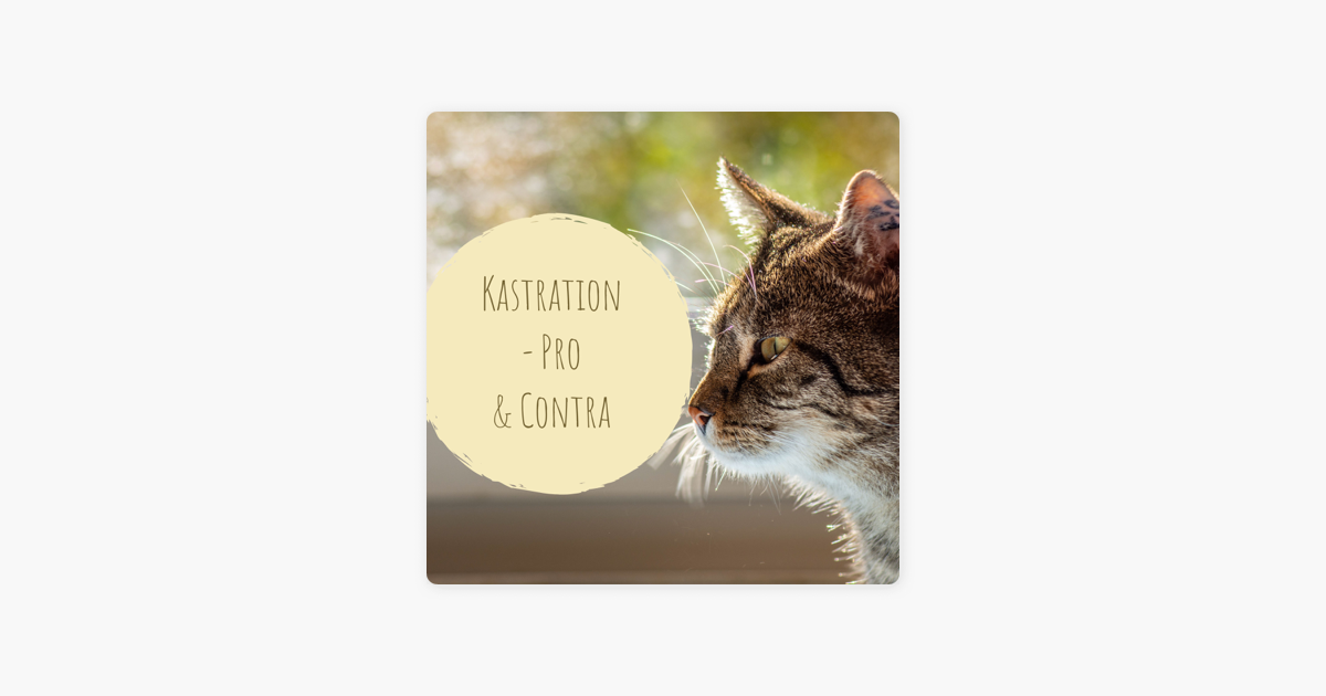 Katze Mensch Kastration Pro Contra Auf Apple Podcasts