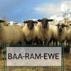 BAA-RAM-EWE Podcast artwork