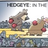 Hedgeye: In The Arena artwork