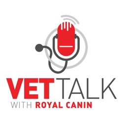 A Quick Guide to Veterinary Debt