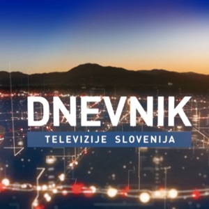 Dnevnik