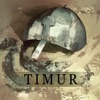 The Timur Podcast artwork