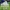 Studio Allsvenskan