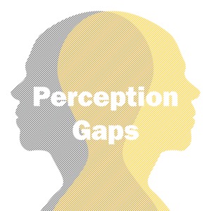 Perception Gaps
