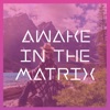 Awake in the Matrix artwork