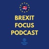 Holywell Brexit Focus Podcast artwork