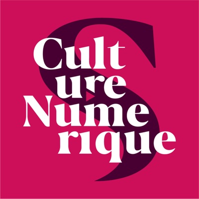 Culture Numérique Culture Numérique