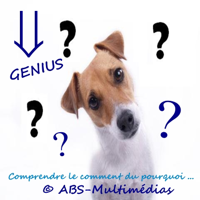 Genius podcast