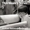This Weeks Torah artwork